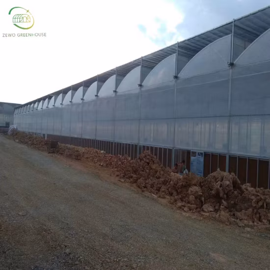 575W 고효율 Tier 1 Topcon 하프 셀 16BB 단결정 PV 태양광 패널(182mm 셀 포함)