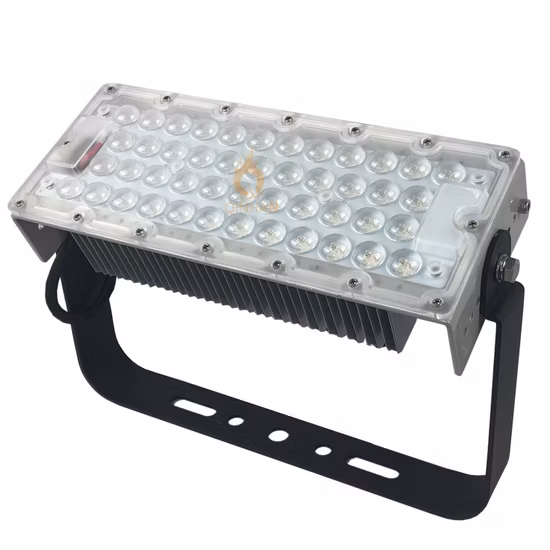 스마트 RGB 통합 해양 IP66 실외 할로겐 조명 가격: 10W LED 투광 조명